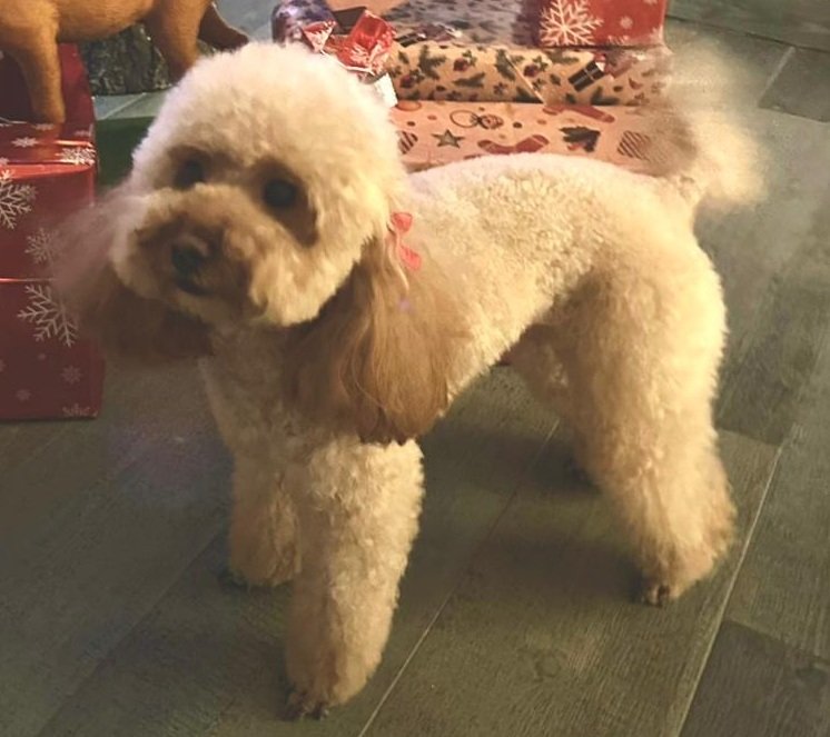 Gita & Siri Fashion Style - Foto 3