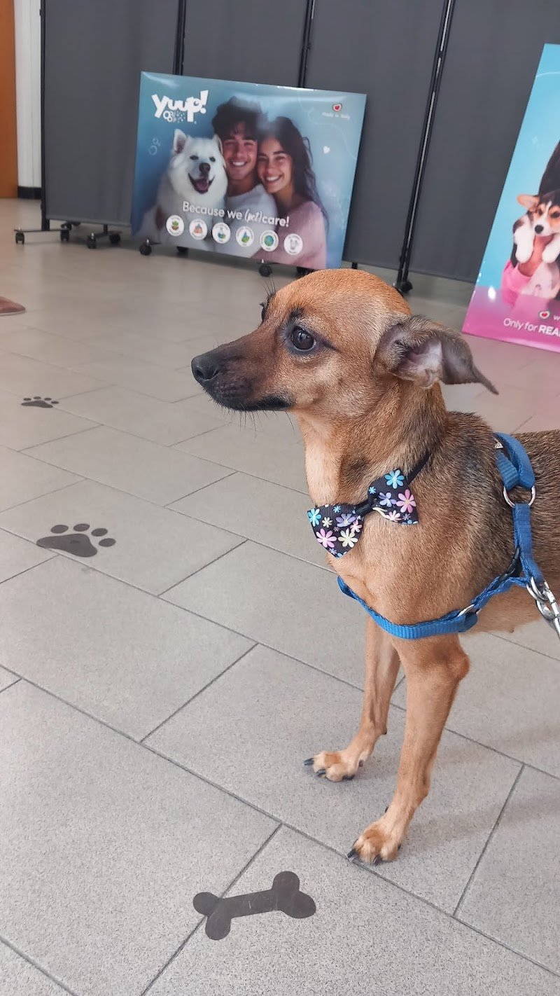 Gita & Siri Fashion Style - Foto 4