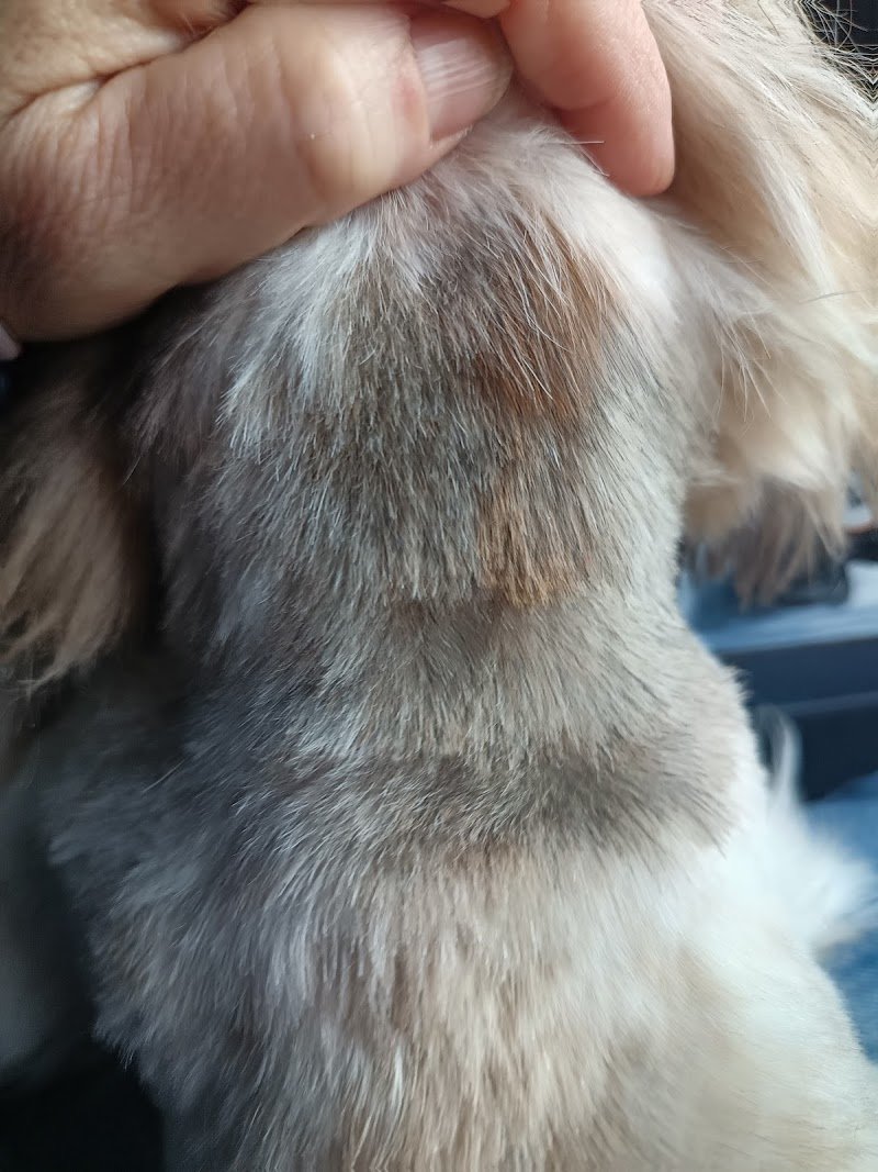 Gita & Siri Fashion Style - Foto 5