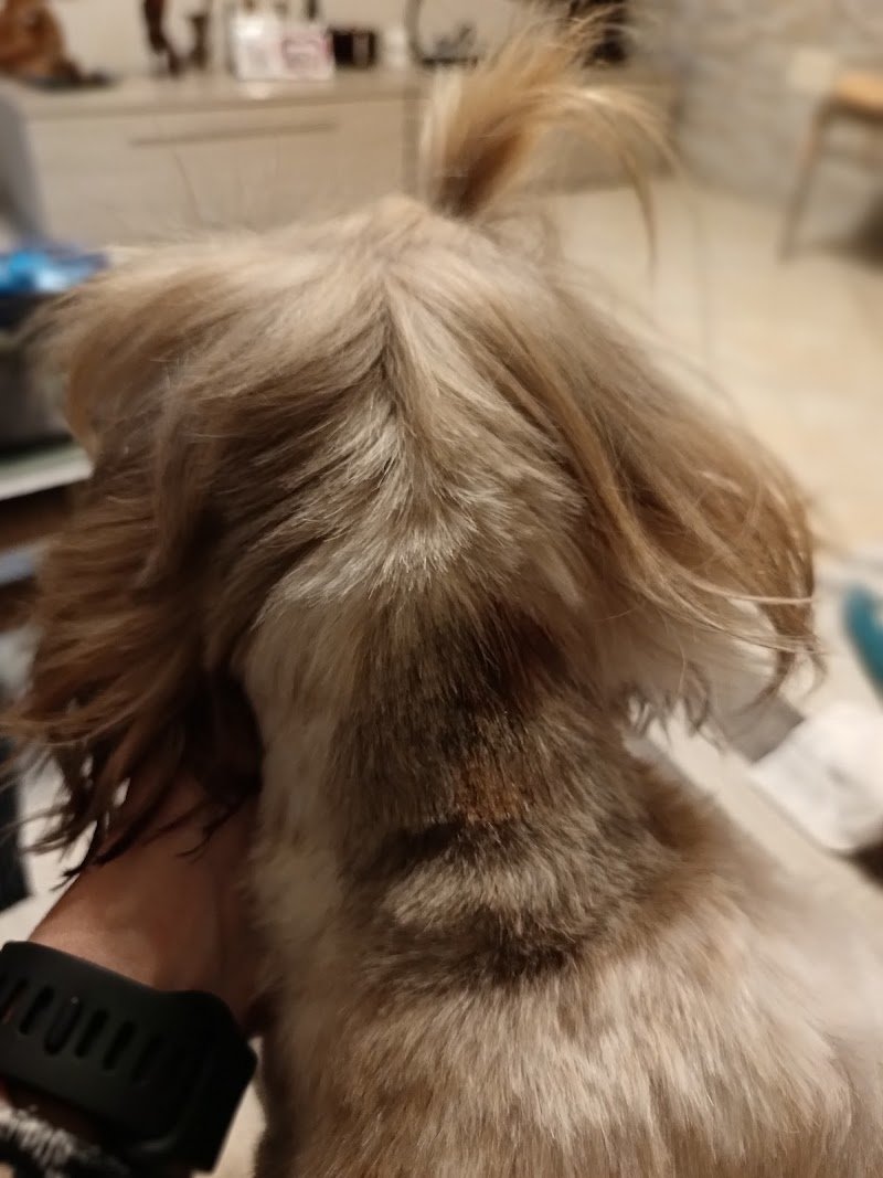 Gita & Siri Fashion Style - Foto 6