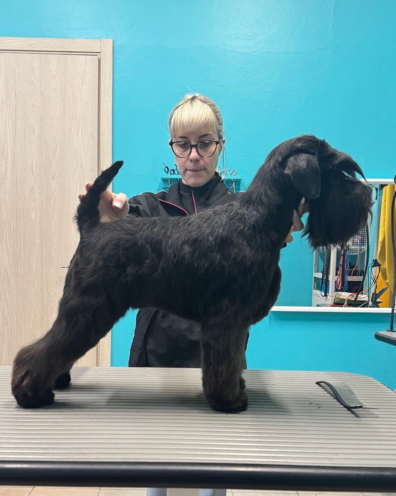 Giudi Dog Boutique Toelettatura&SPA Cremona - Foto 1