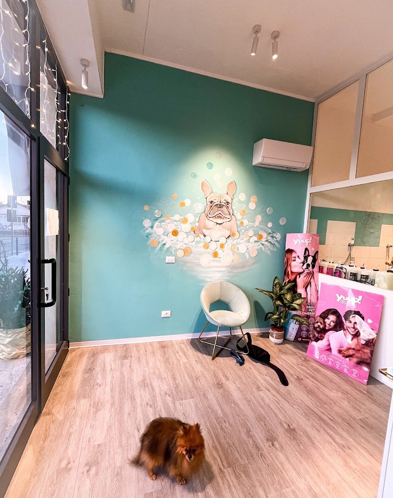 Giuly Pet Style - Foto 1