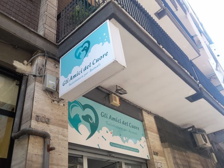 Gli amici del cuore - Foto 1