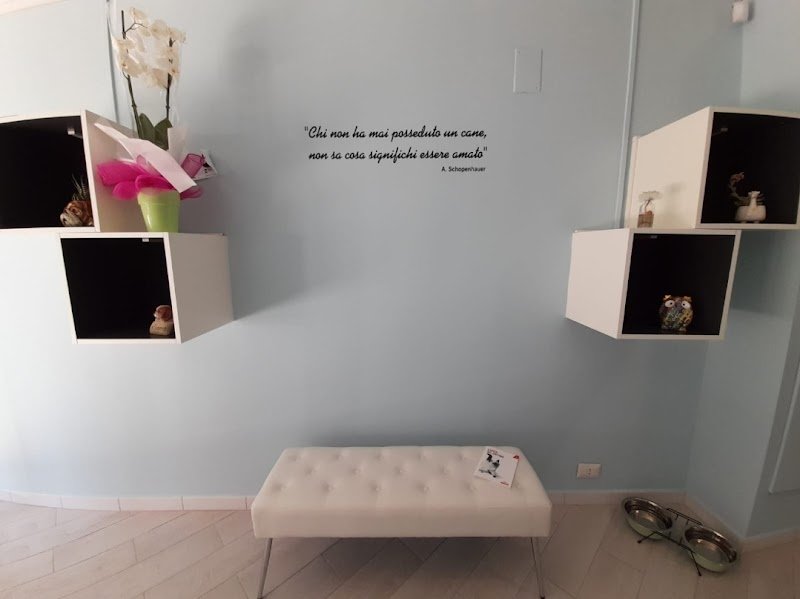 Gli amici del cuore - Foto 3