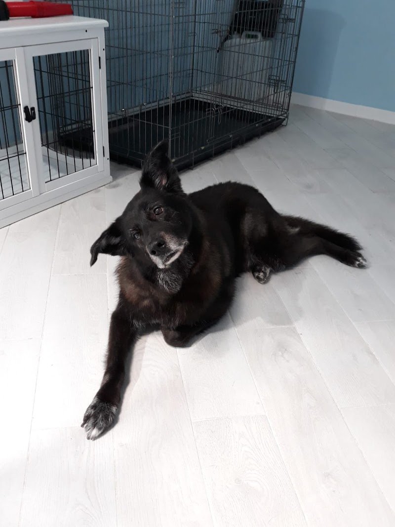 Gli amici del cuore - Foto 5