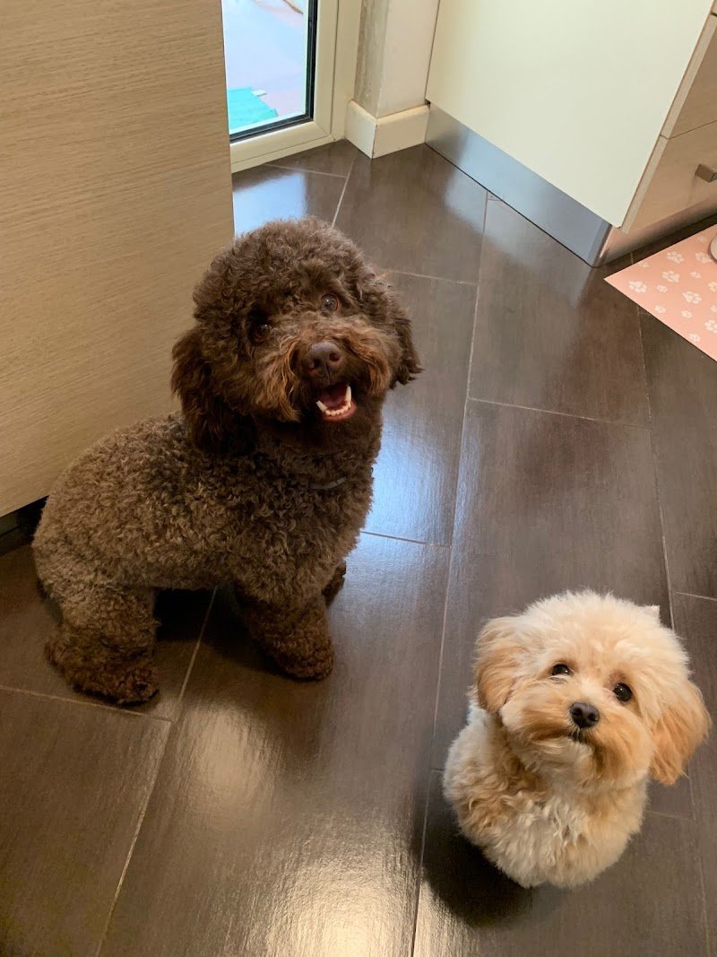 Gli amici del cuore - Foto 6