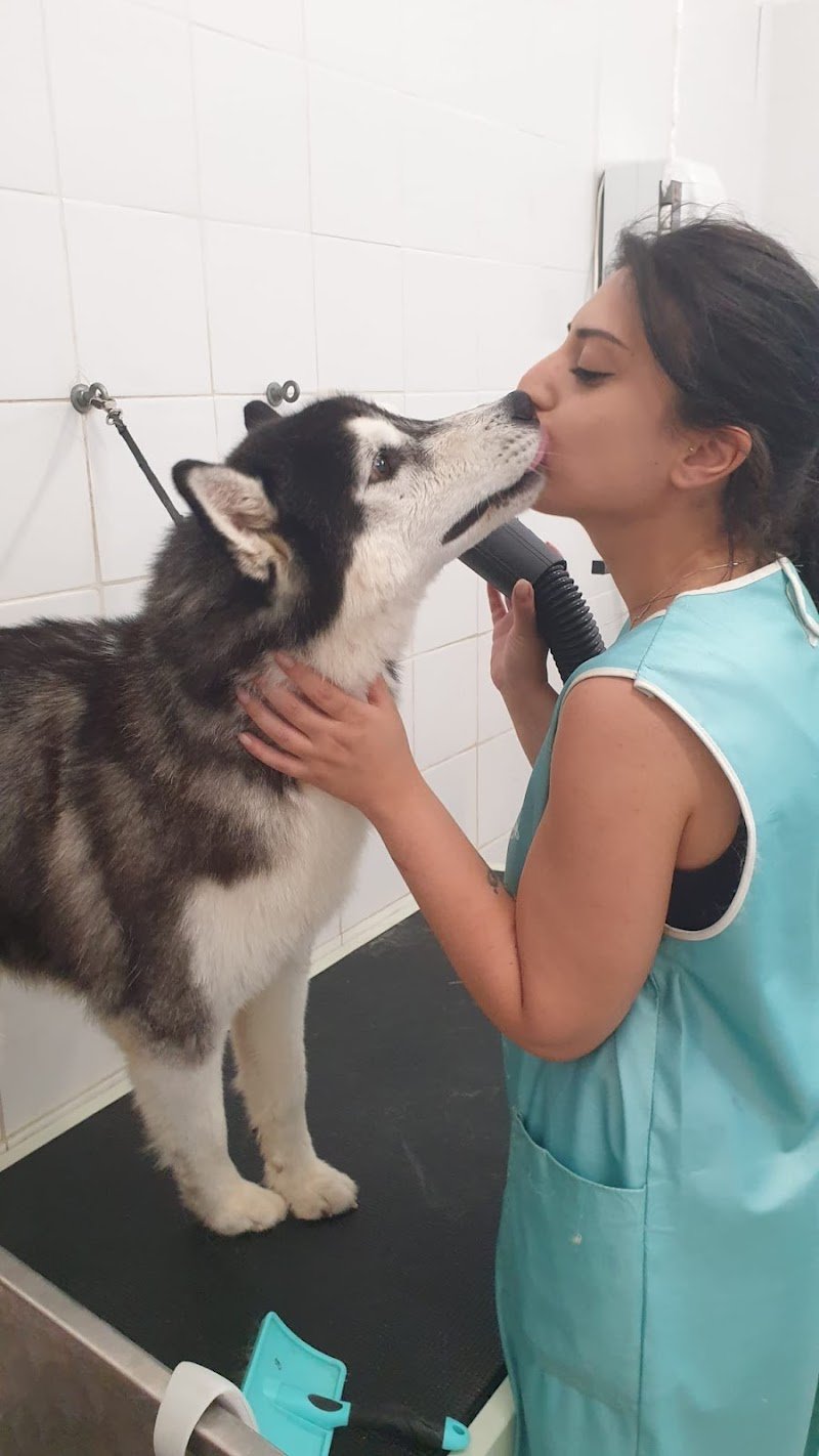 Gli amici di Anny - Foto 1