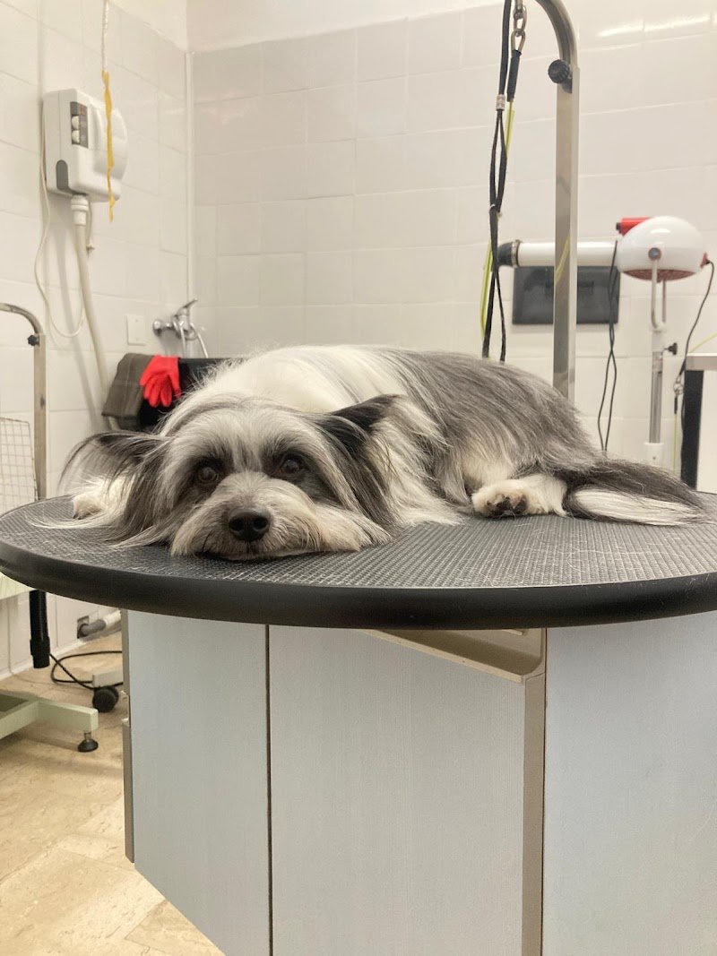 Gli amici di Anny - Foto 2