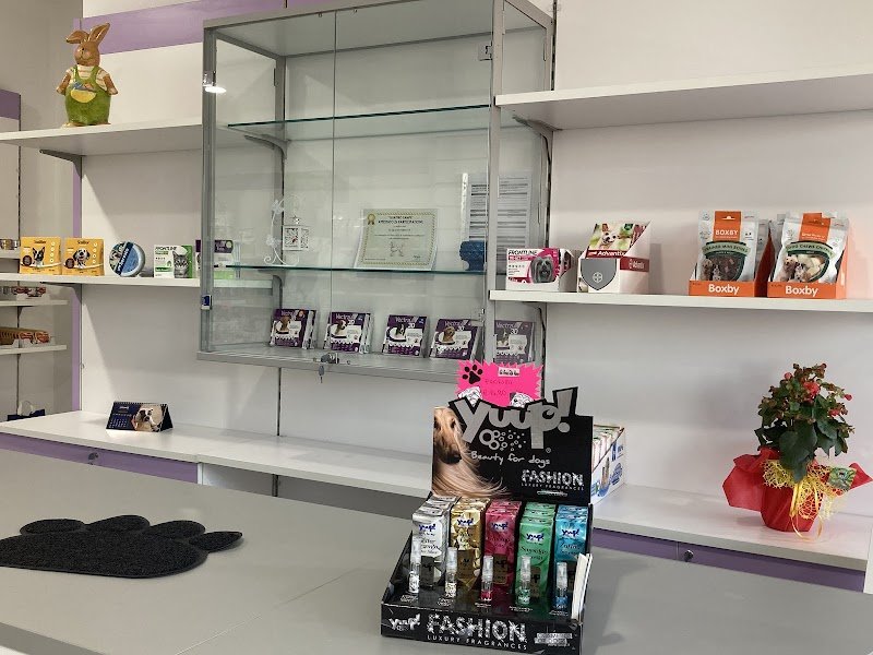 Gli amici di Anny - Foto 3