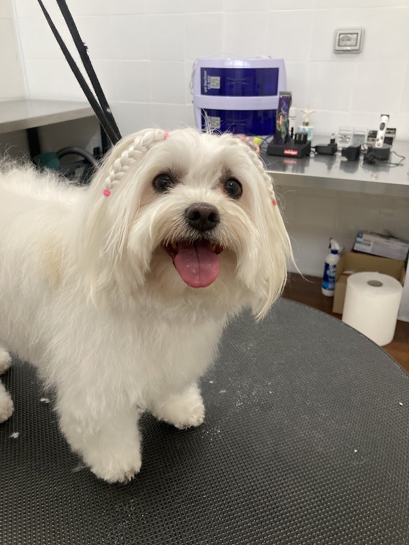 Gli amici di Anny - Foto 4