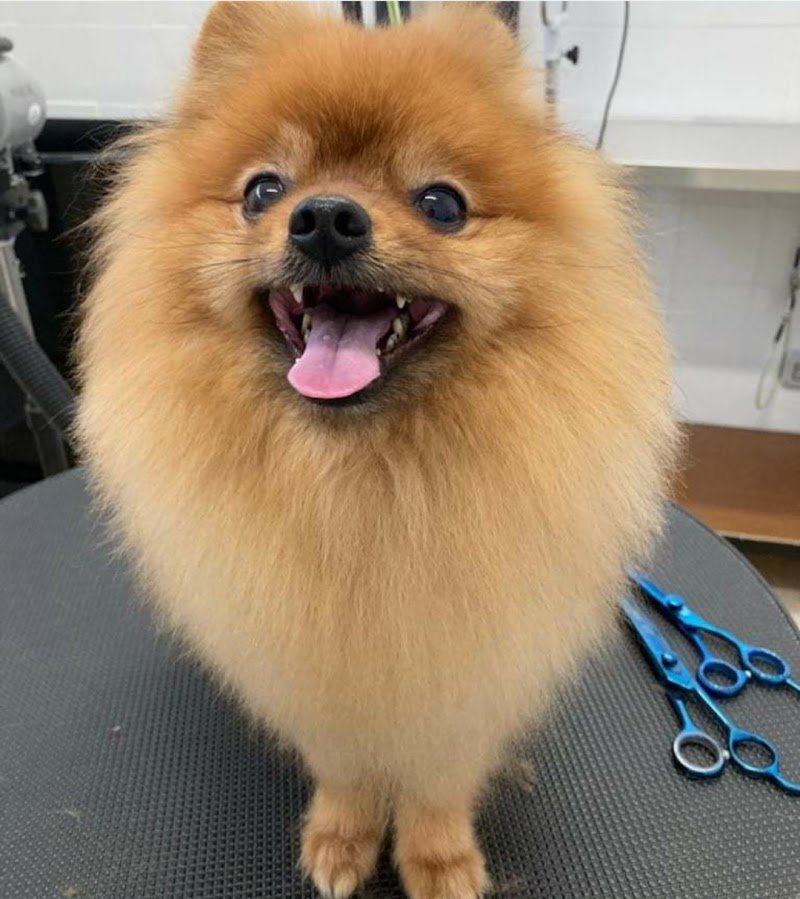 Gli amici di Anny - Foto 5