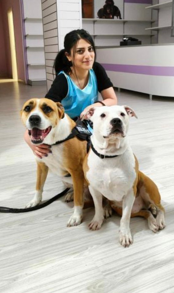 Gli amici di Anny - Foto 6