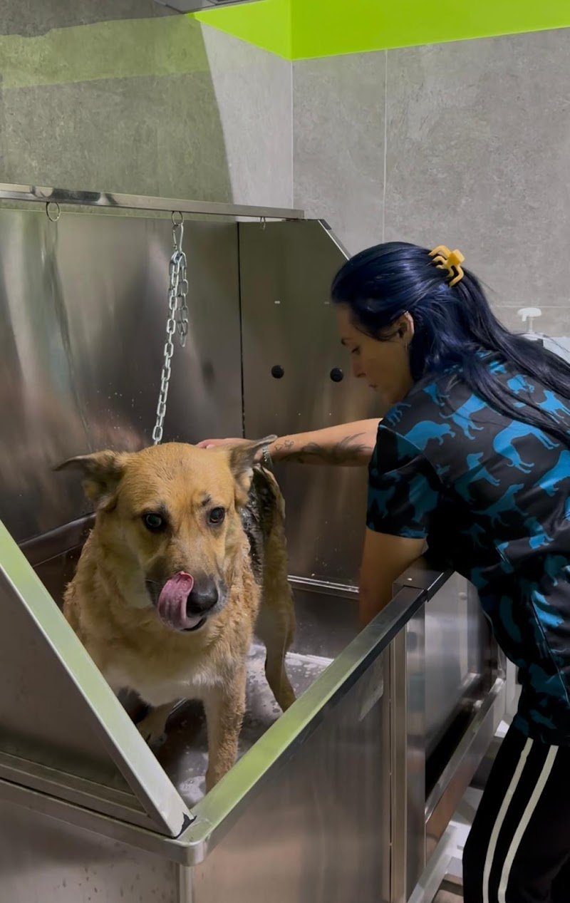 Gli Amici Di Gio’ di Giovanna Leto - Foto 3