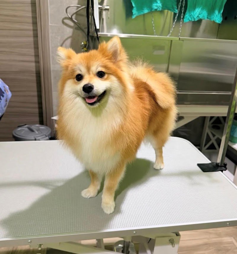 Gli Amici Di Gio’ di Giovanna Leto - Foto 4