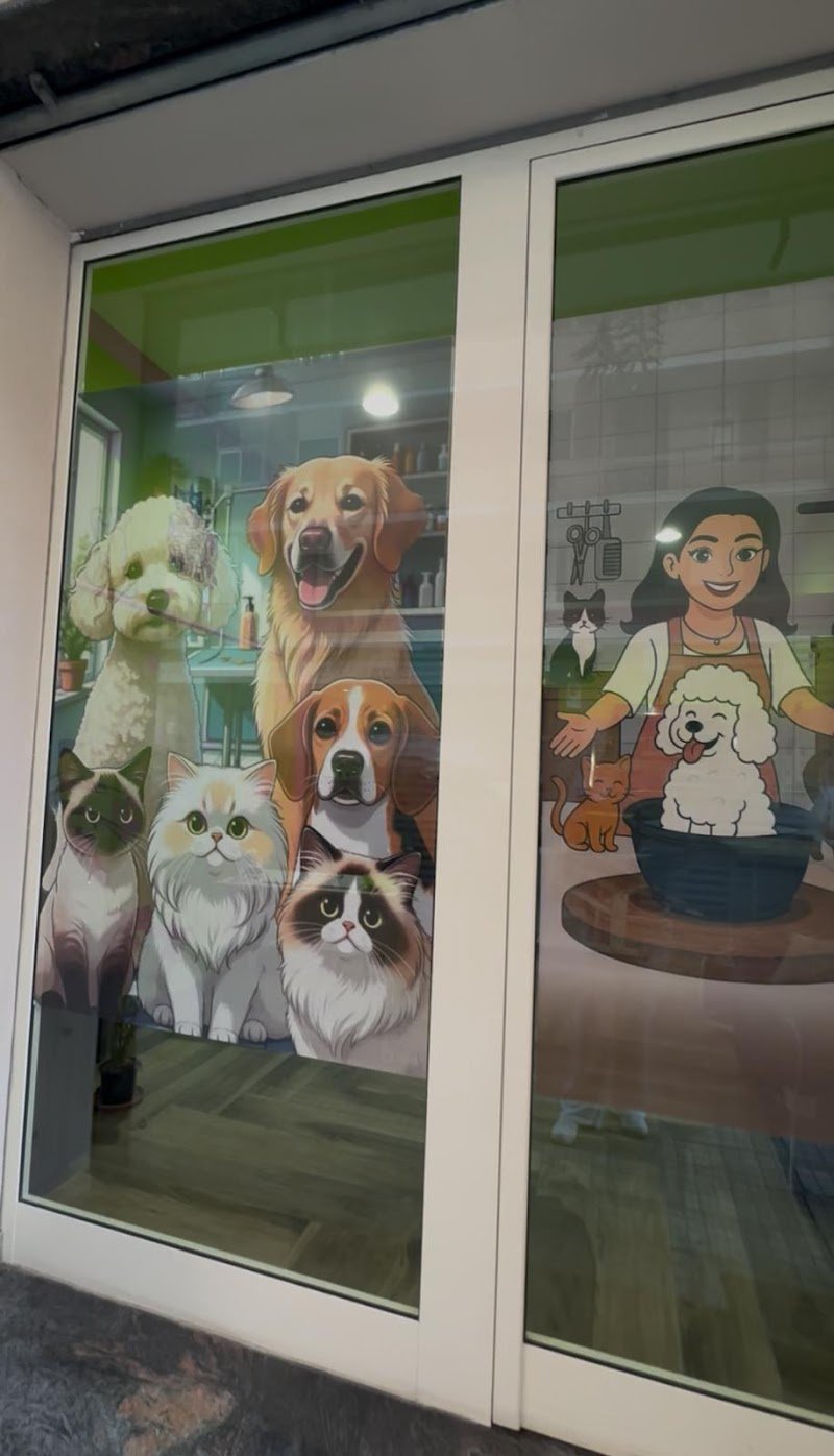 Gli Amici Di Gio’ di Giovanna Leto - Foto 5