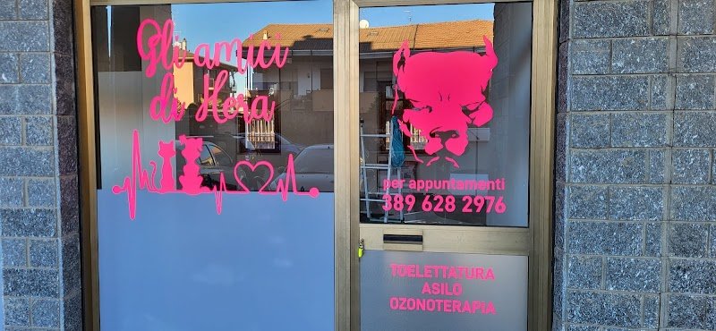 Gli amici di Hera - Foto 1