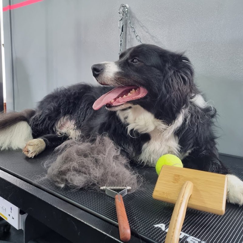 Gli amici di Hera - Foto 3