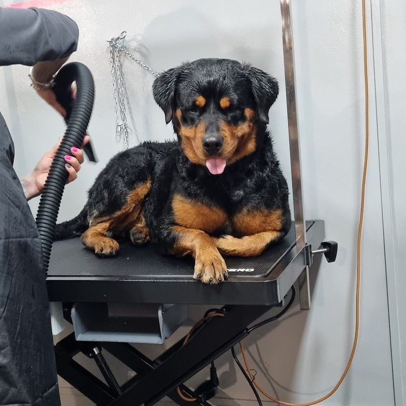 Gli amici di Hera - Foto 5