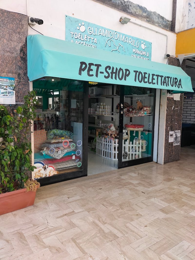 Gli amici di marilù - Foto 1