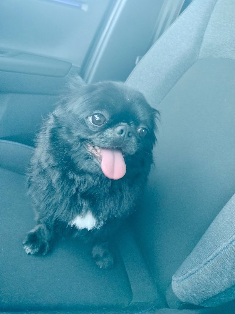 Gli amici di marilù - Foto 2