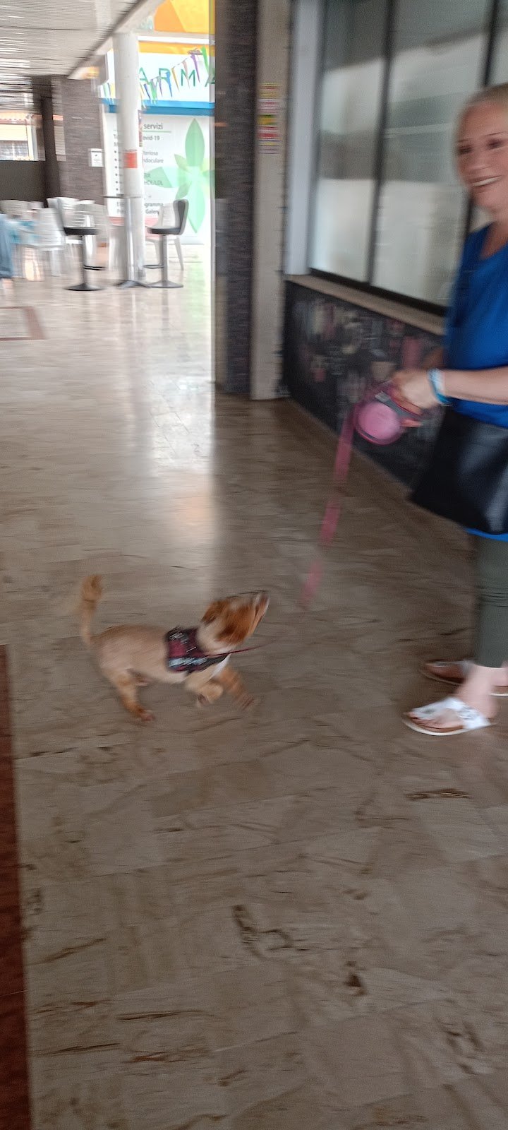 Gli amici di marilù - Foto 5