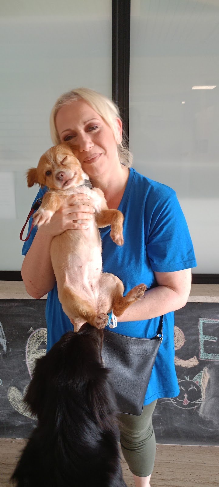 Gli amici di marilù - Foto 6