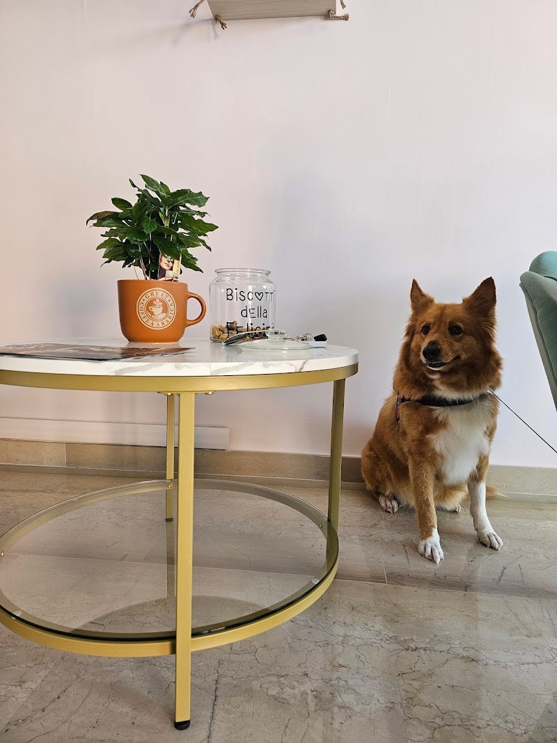 Gli Amici Di Noshi - Foto 2