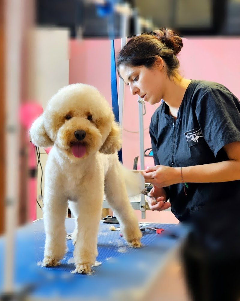 Gli Amici Di Noshi - Foto 5