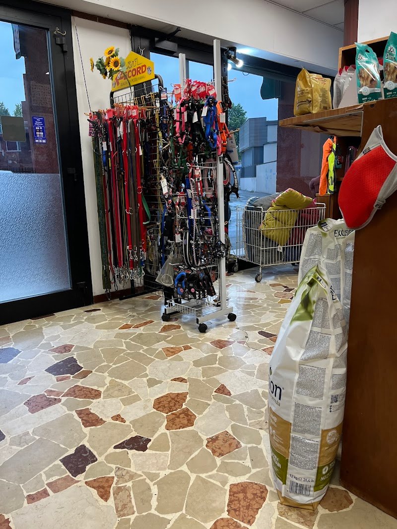 Gli Amici Di Sally Di Gentile Simone - Foto 1