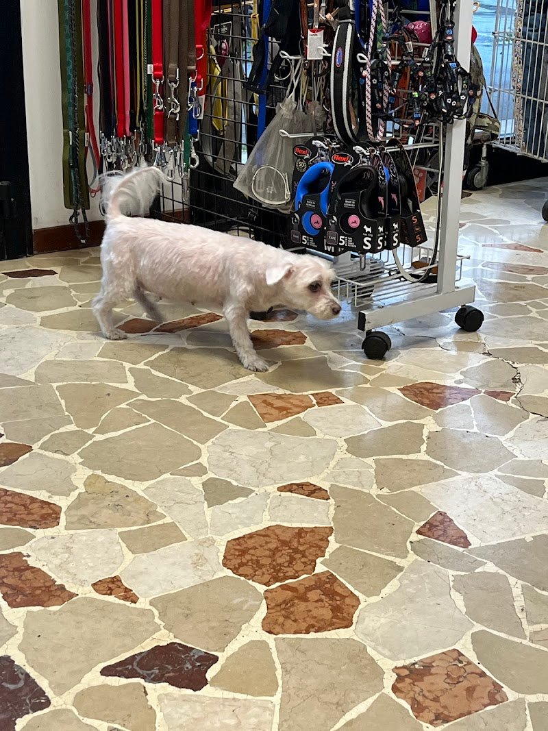 Gli Amici Di Sally Di Gentile Simone - Foto 3