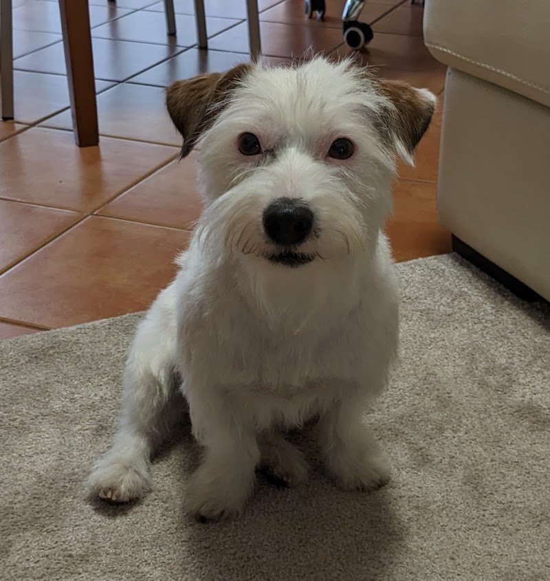 Gli Amici Di Sally Di Gentile Simone - Foto 4