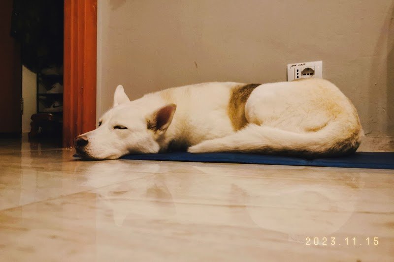 Gli Amici Di Sally Di Gentile Simone - Foto 5