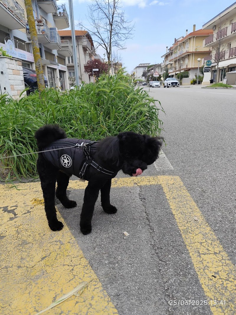 Gli Aristocani - Foto 5