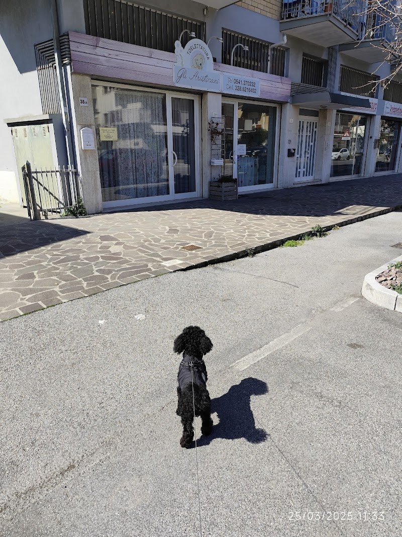 Gli Aristocani - Foto 6