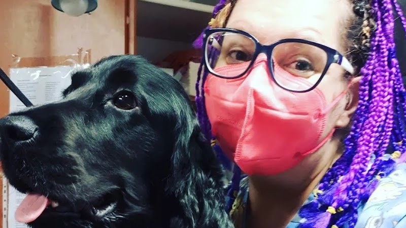 Gli AristoCani Toeletta e agenzia di Pet sitting - Foto 1