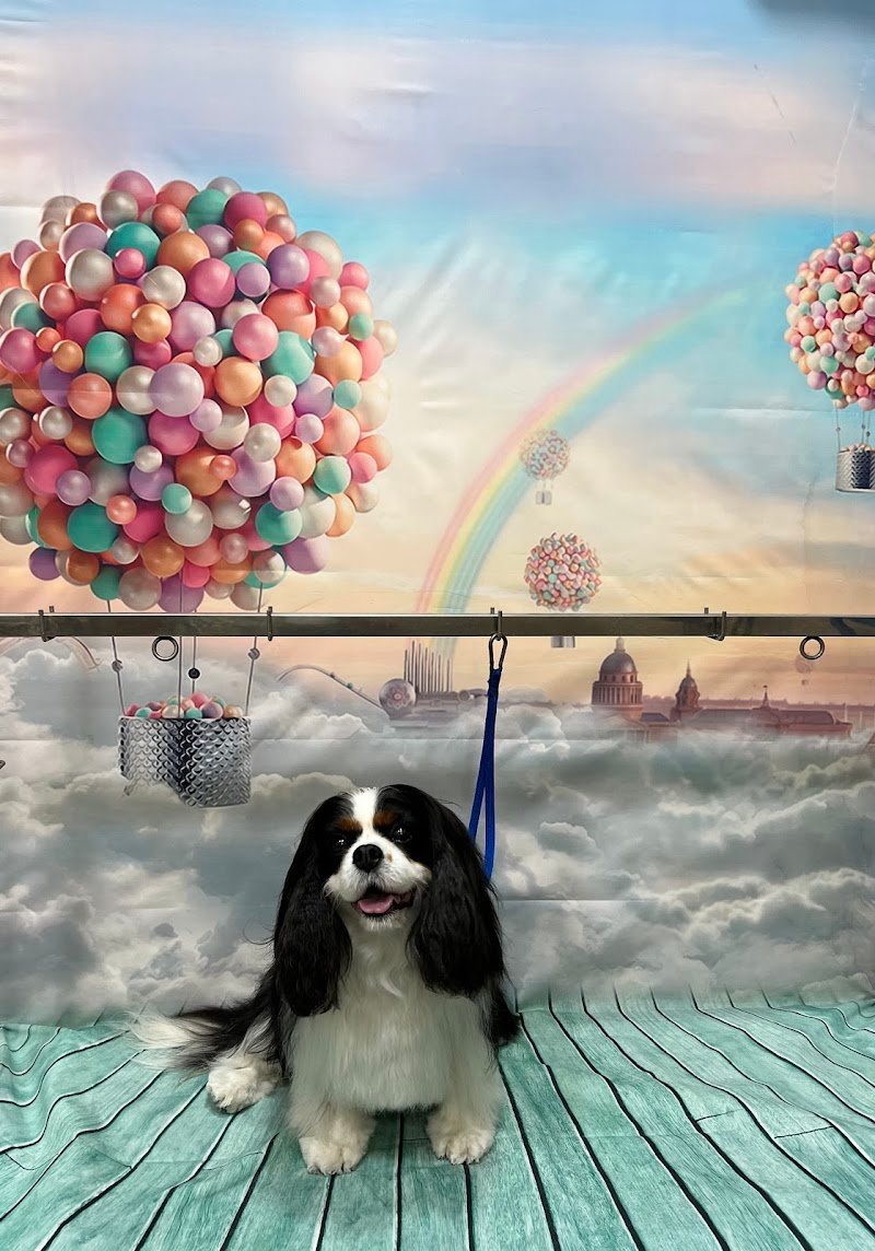 Gli Aristocuccioli - Foto 1