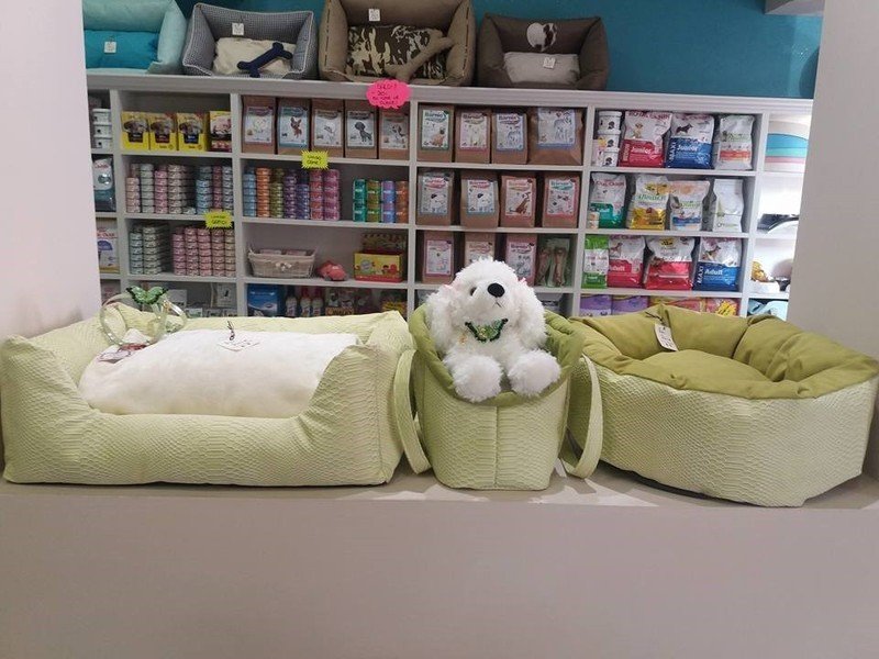 Gli Aristocuccioli - Foto 2