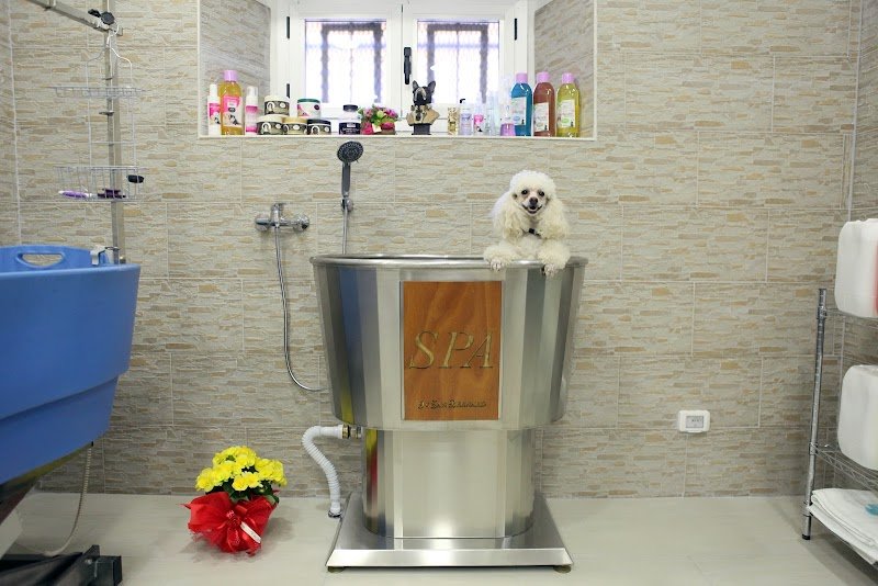 Gli Aristocuccioli - Foto 3