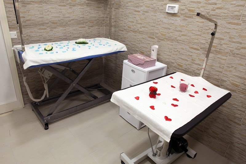 Gli Aristocuccioli - Foto 4