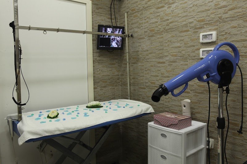 Gli Aristocuccioli - Foto 6