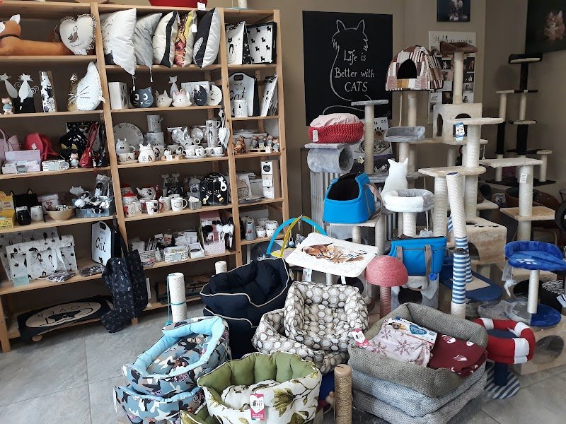 Gli Aristogatti Cuneo - Foto 1