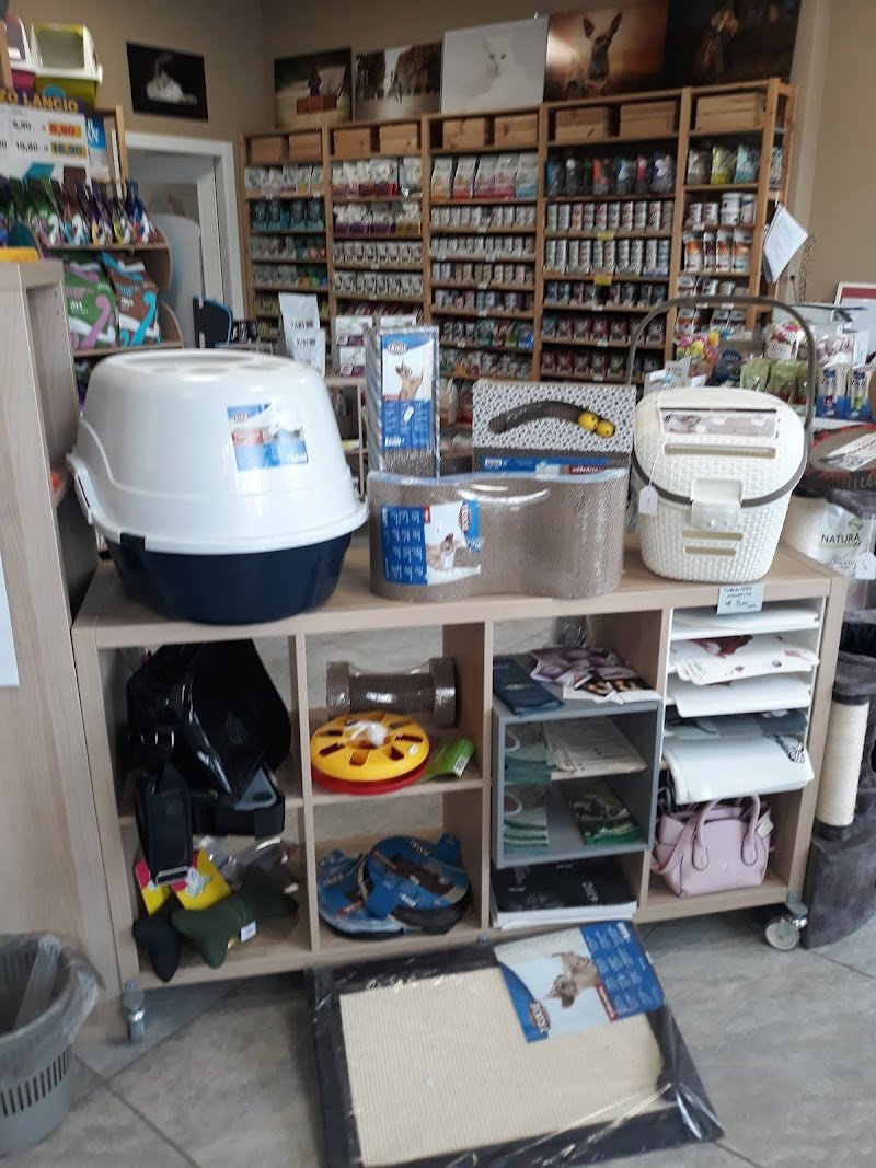 Gli Aristogatti Cuneo - Foto 4