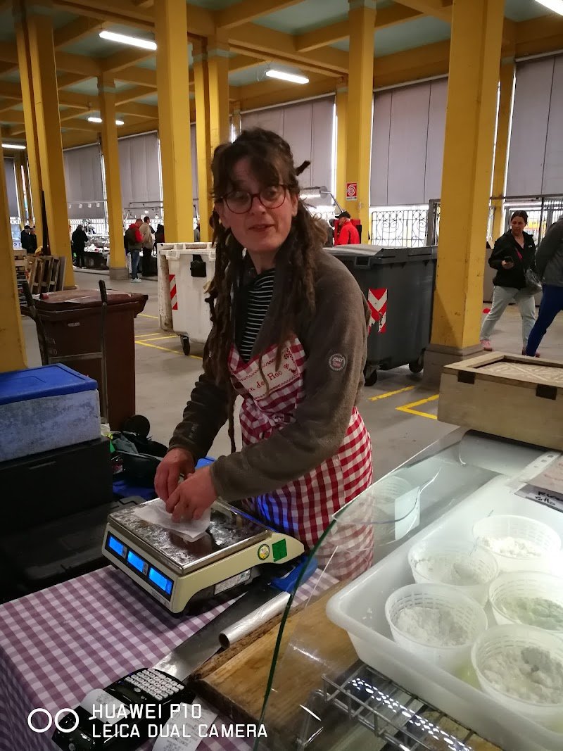 Gli Aristogatti Cuneo - Foto 6