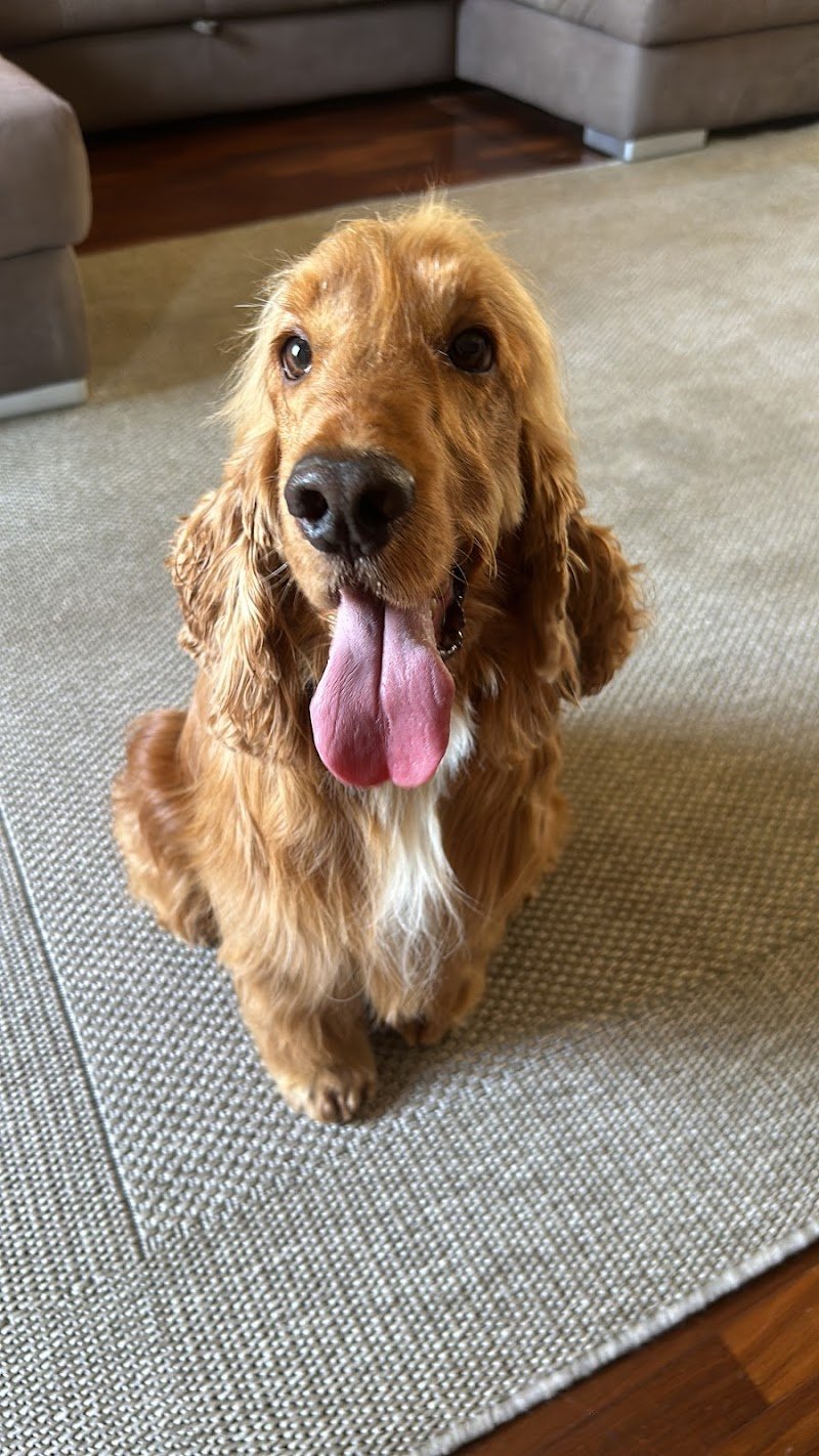 Graffi e Impronte - Foto 3