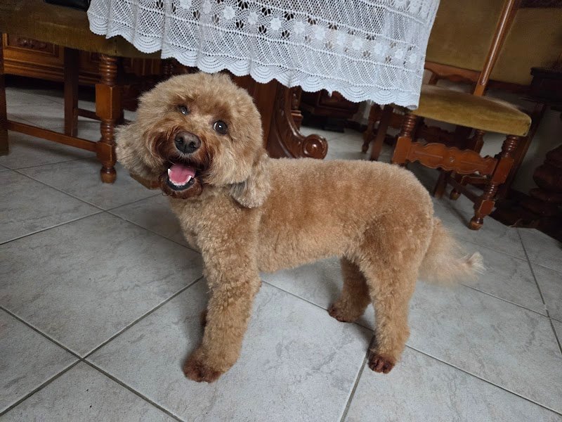 Graffi e Impronte - Foto 5