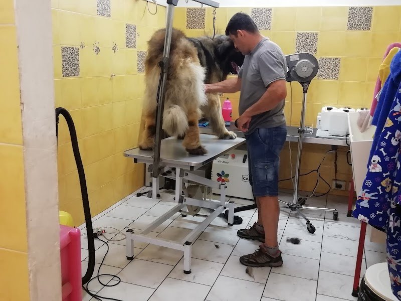 Graffi e Impronte - Foto 6