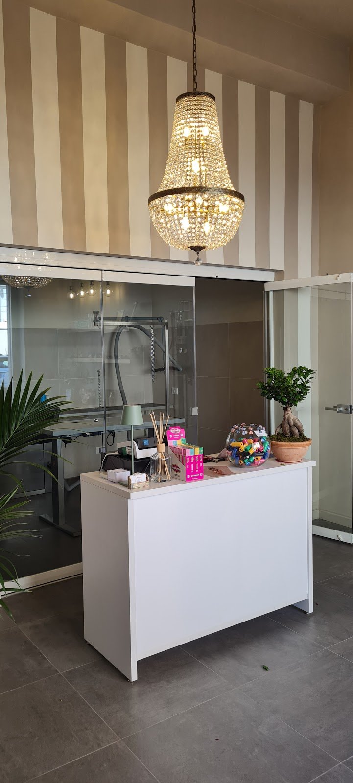 GROOM Toilette per animali - Foto 2