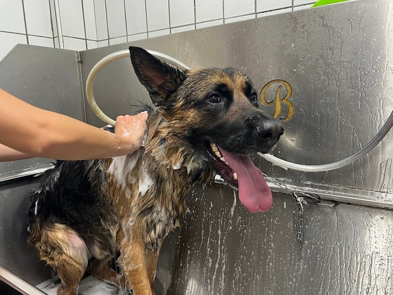 Grooming&Coccole di Simona Cantilena - Foto 1