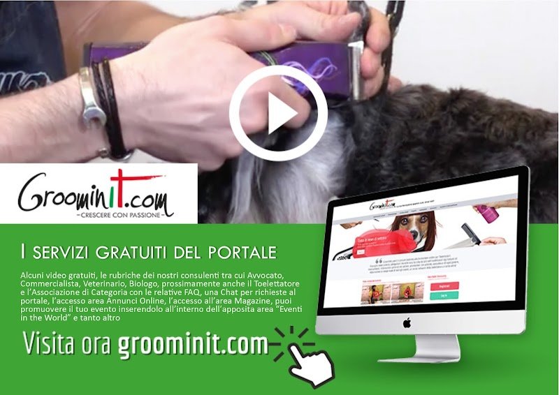 Groominit - Foto 2