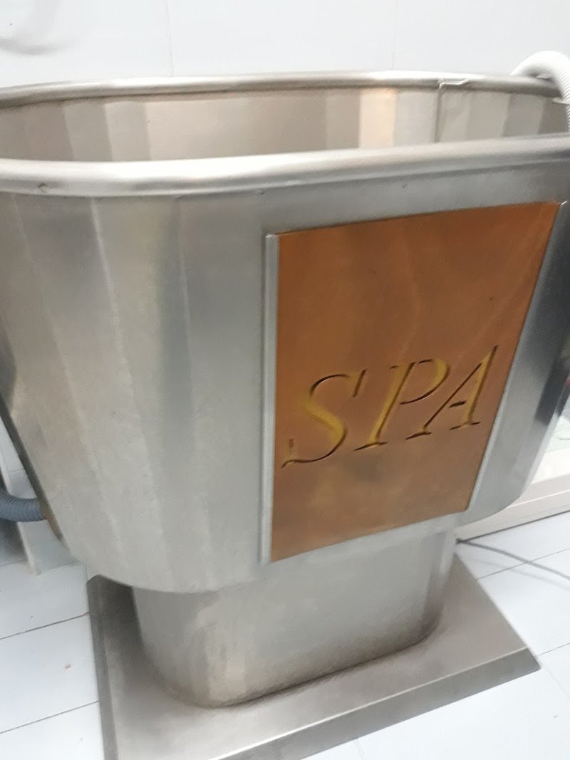 Happy Animal - Foto 1